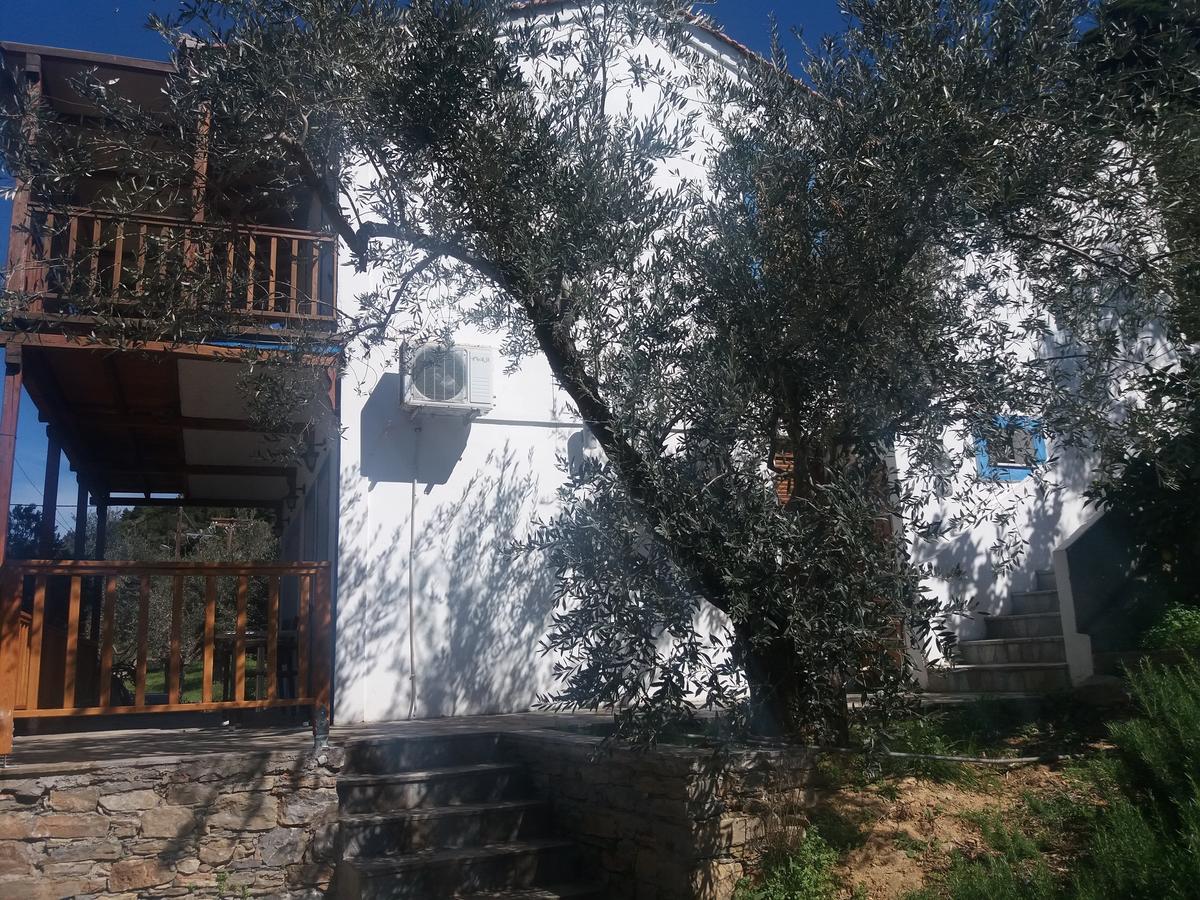Megalos Mourtias Alonnisos Town Exterior photo